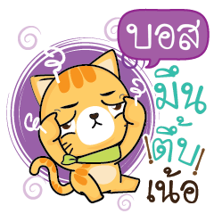 BOSS Sesa cat_N