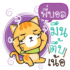 PIBALL Sesa cat_N