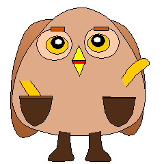 Pocket owl