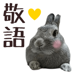 Rabbit photo keigo sticker
