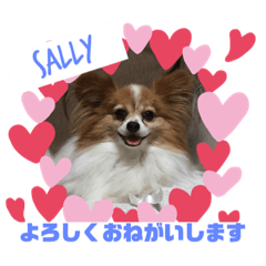 sally_20190722020739