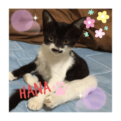 sally_20190722045653