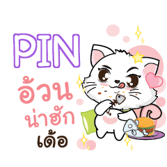 PIN Seenuan cat_E e