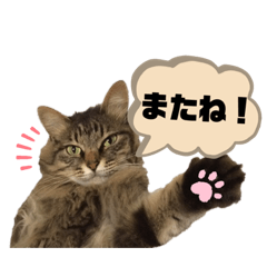 nozomi_20190722011943