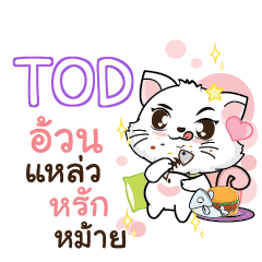 TOD Seenuan cat_S e