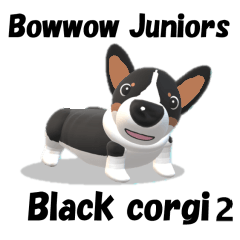 Bowwow Juniors fellow Black corgi 2