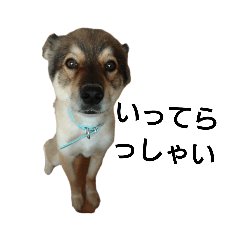 ryu_20190721231026