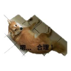 糖糖欸欸