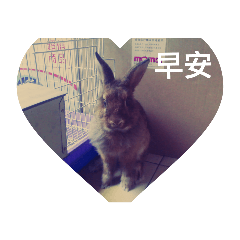 亞斯