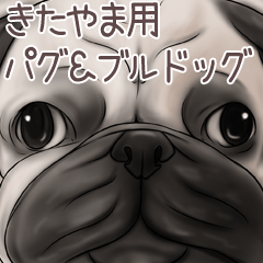 Kitayama Pug and Bulldog