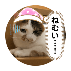 kurosuke_20190722204916