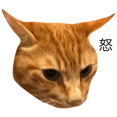 MARINA_20190722210844