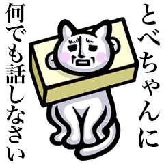 Stray cat!! Tobechan