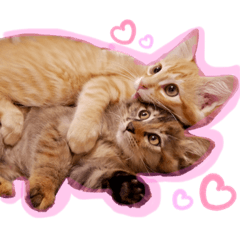 HARUNA_20190722185301