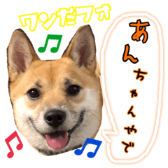 あんちゃん 1