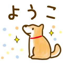 【ようこ】毎日の会話にそえるスタンプ