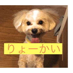 NATSUMI_20190722214334