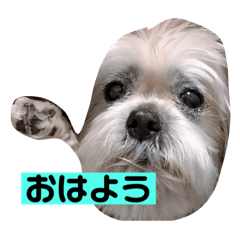 KYON_20190722220522