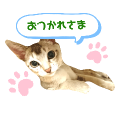 nozomi_20190723040048