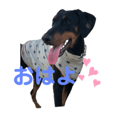 ayumi_20190721235449