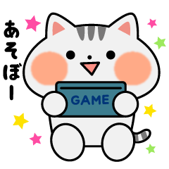 Game-loving silver tabby and calico cat