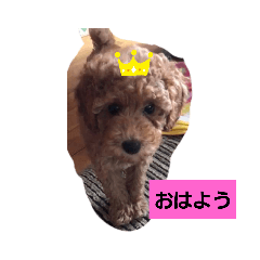 kinako_20190723084147