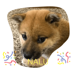 kosuke_20190723115255