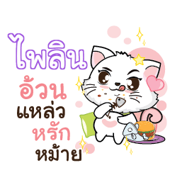 PAILIN Seenuan cat_S