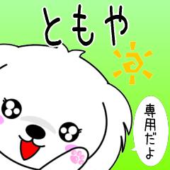 Tomoya only Cute Maltese Sticker