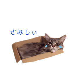 Natsumi_201907231437052