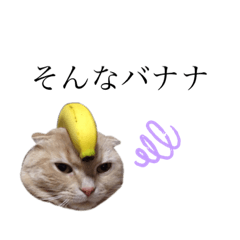 まるおくんスタンプ2