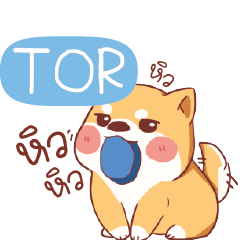 TOR Shiba naughty dog e