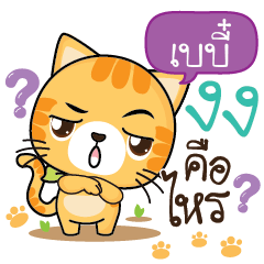 BABE Sesa cat_S