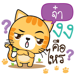 JA Sesa cat_S