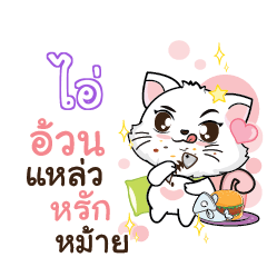 I3 Seenuan cat_S