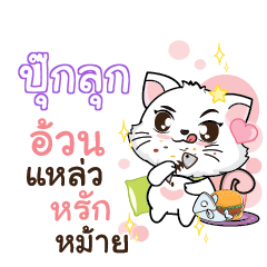 POOKLOOK Seenuan cat_S