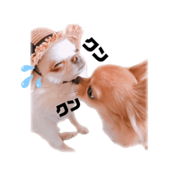 mame_20190723210530