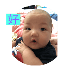 小豬仔語錄