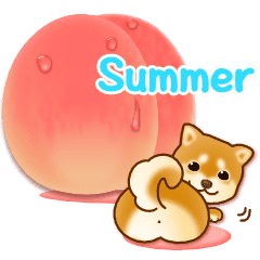 花よりわんこ2 英語 夏 柴犬 フルーツ Line スタンプ Line Store 花よりわんこ2 英語 夏 柴犬 フルーツ Line スタンプ Line Store