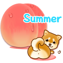 Dogs over Flowers2 summer, English
