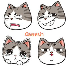 NOINA trollcat emoji
