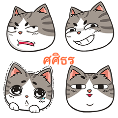 SASITON trollcat emoji
