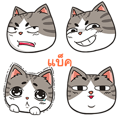 BACK trollcat emoji