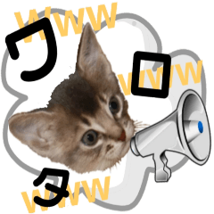 kitten stickers slang2