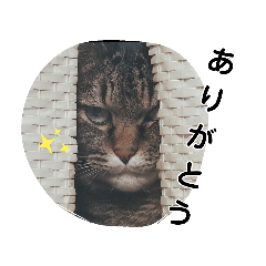 mimi_10_02