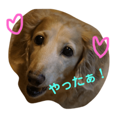 yukari_20190724020441