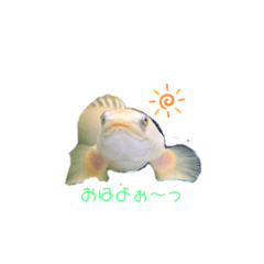 Chiharu_20190724094037