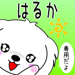 Haruka only Cute Maltese Sticker