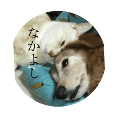 ikumi_20190724112335