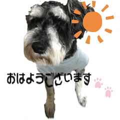 yudetaro1